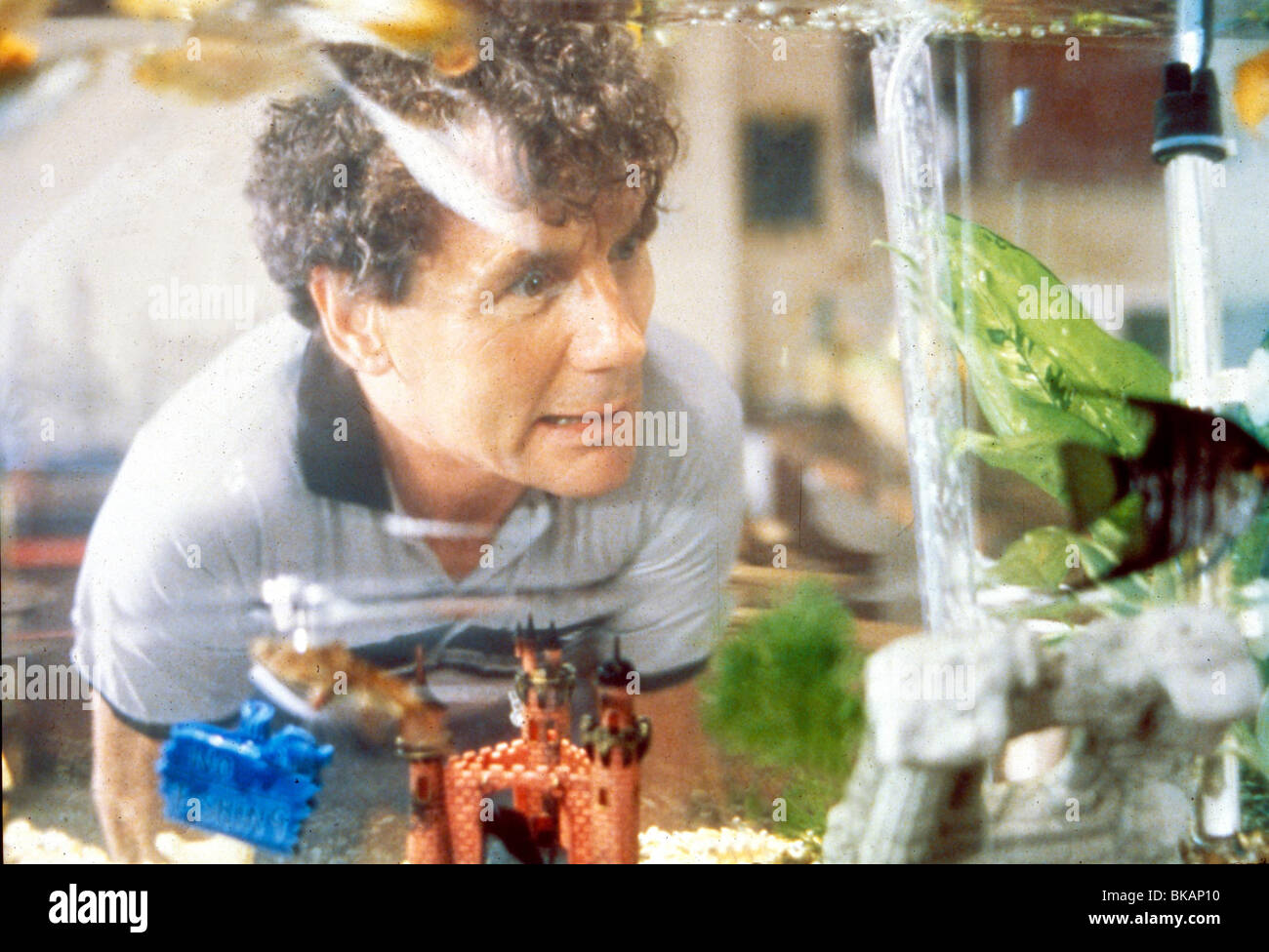 EIN FISCH NAMENS WANDA (1988) MICHAEL PALIN FCW 031 MOVIESTORE ABHOLUNG LTD Stockfoto