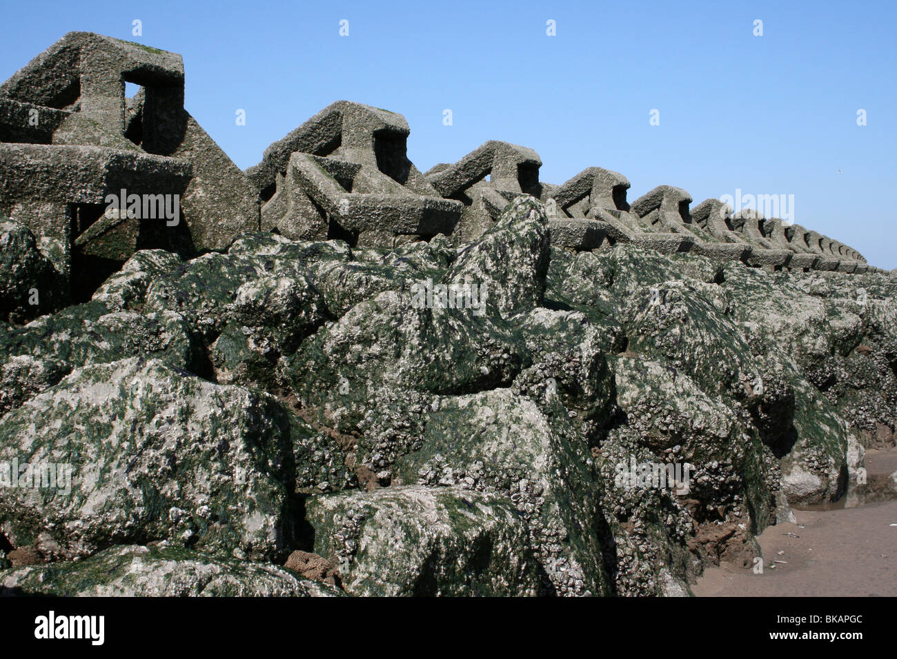 Barnacle verkrustete Meer Verteidigung Buhne in New Brighton, Wallasey, Wirral, UK Stockfoto