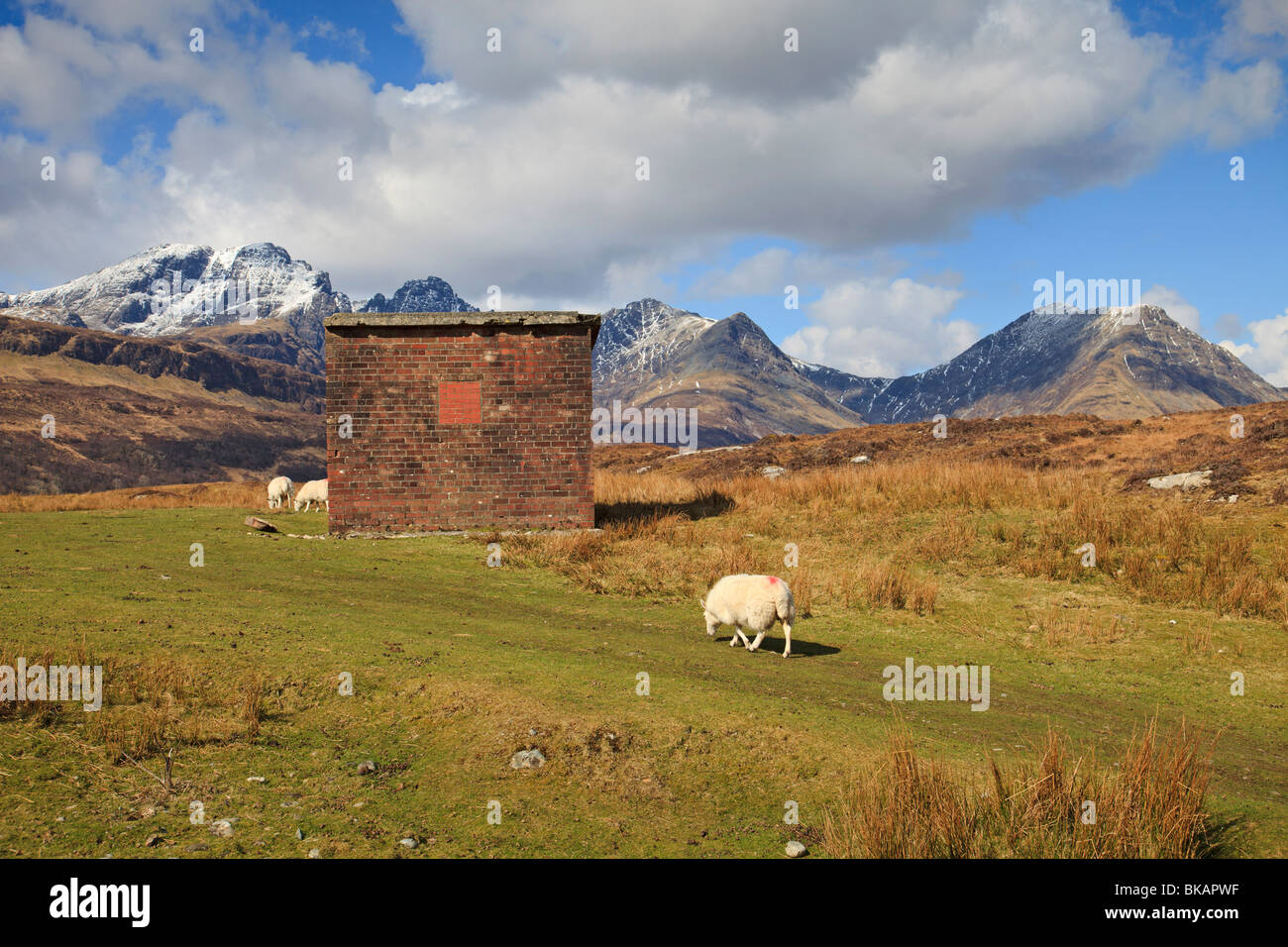 Blick zum Blaven in die Cuillin Berge über Loch ich, Isle Of Skye Stockfoto