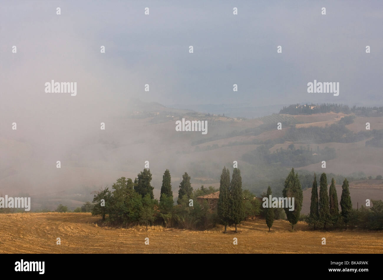 Morgennebel in Toskana, Italien Stockfoto