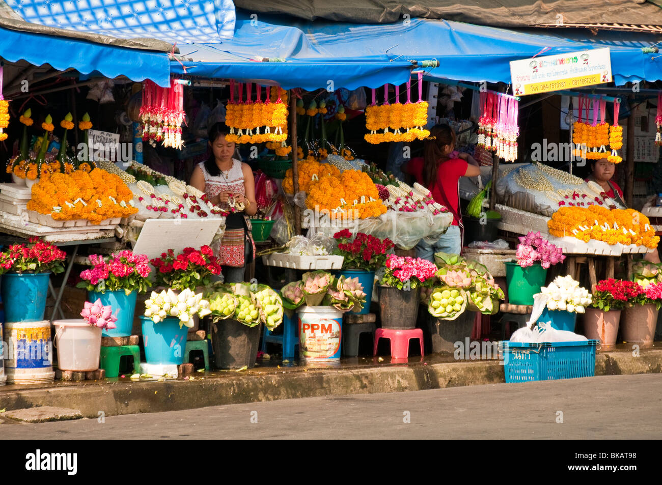 Blumenhändler auf dem Marktplatz in der Nähe von Chinatown und Ping Fluss, Chiang Mai, Thailand. Stockfoto