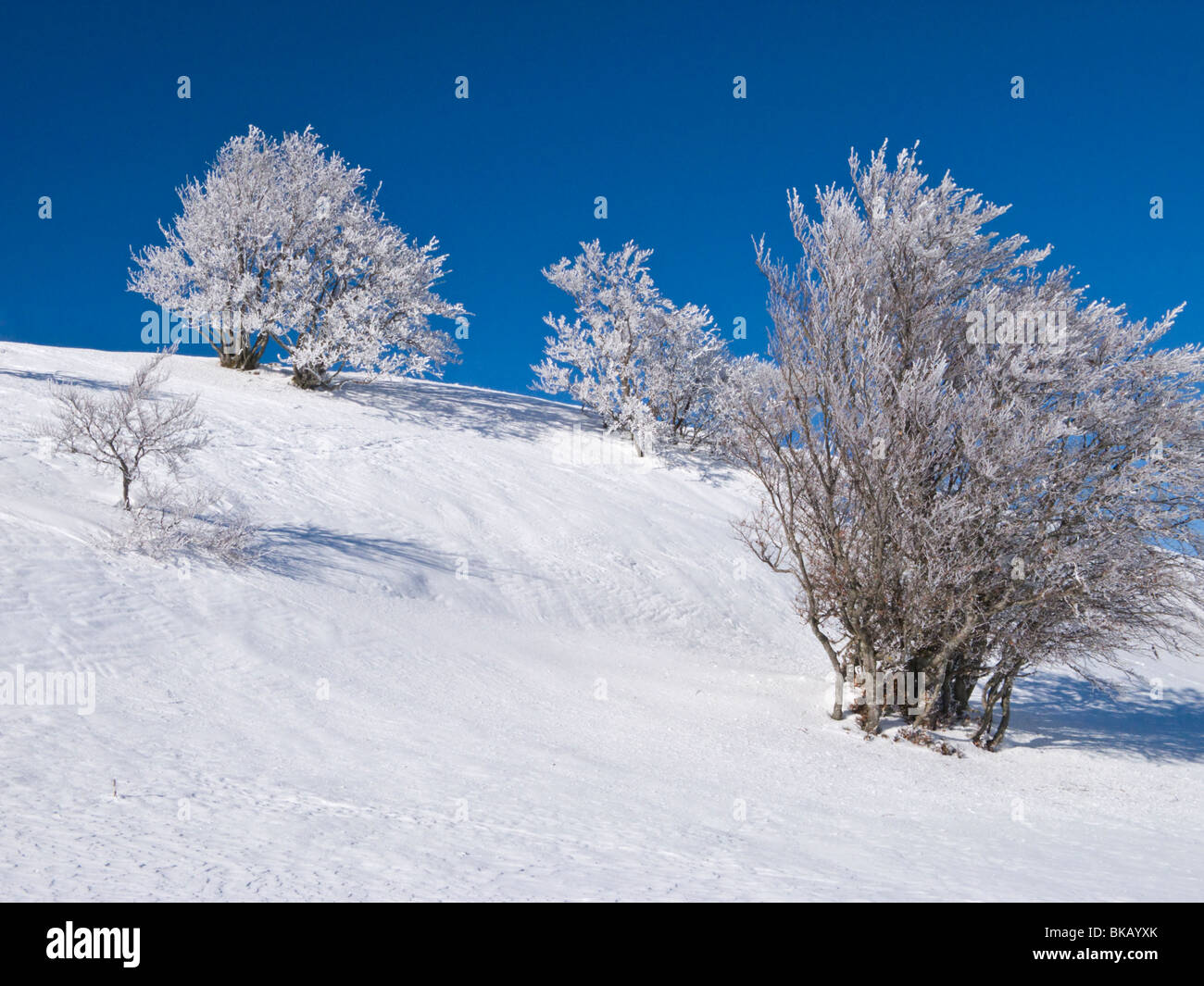 Französisch / Frankreich Winter Schnee Landschaft in den französischen Alpen Resort des Plateau De Sur Lyand. Ain-Departement Frankreichs. Stockfoto