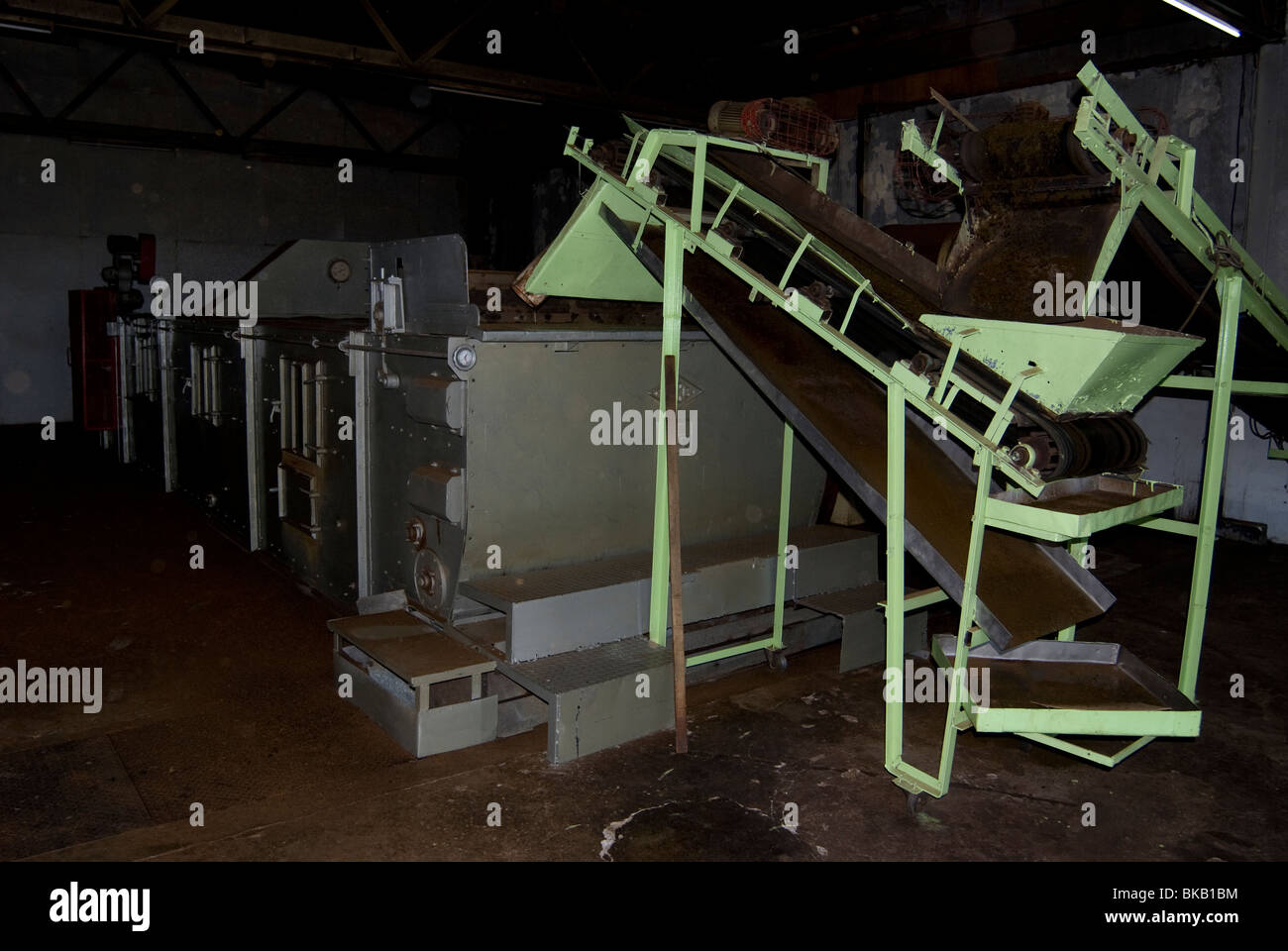 Maschinen zur Verarbeitung von Tee, Sabah, Borneo, Ost-Malaysia. Stockfoto
