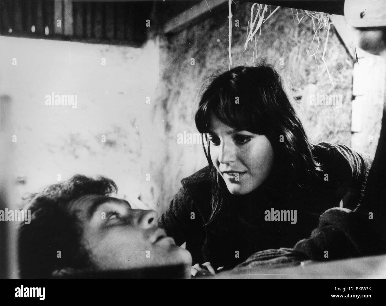 Peter fleischmann Fotos und Bildmaterial in hoher Auflösung Alamy