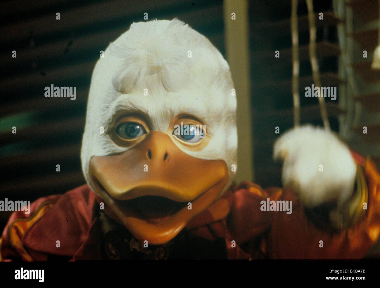 Howard Die Ente Howard Die Ente
