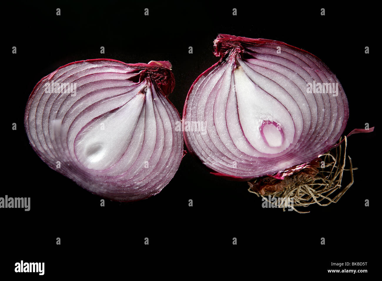 Roter Zwiebel in Scheiben geschnitten in zwei Teilen auf schwarzem Hintergrund Stockfoto