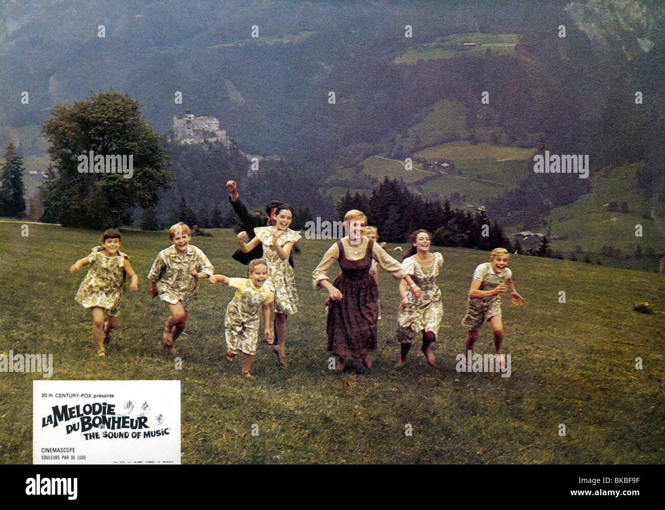 Kym karath -Fotos und -Bildmaterial in hoher Auflösung – Alamy