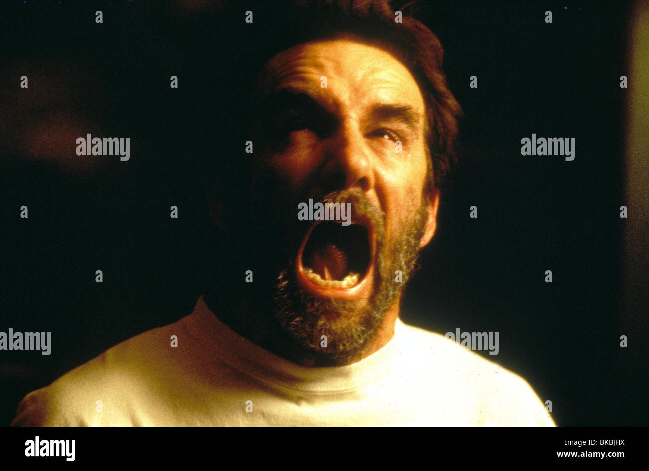 VERLORENE SEELEN-2000 JOHN DIEHL Stockfoto