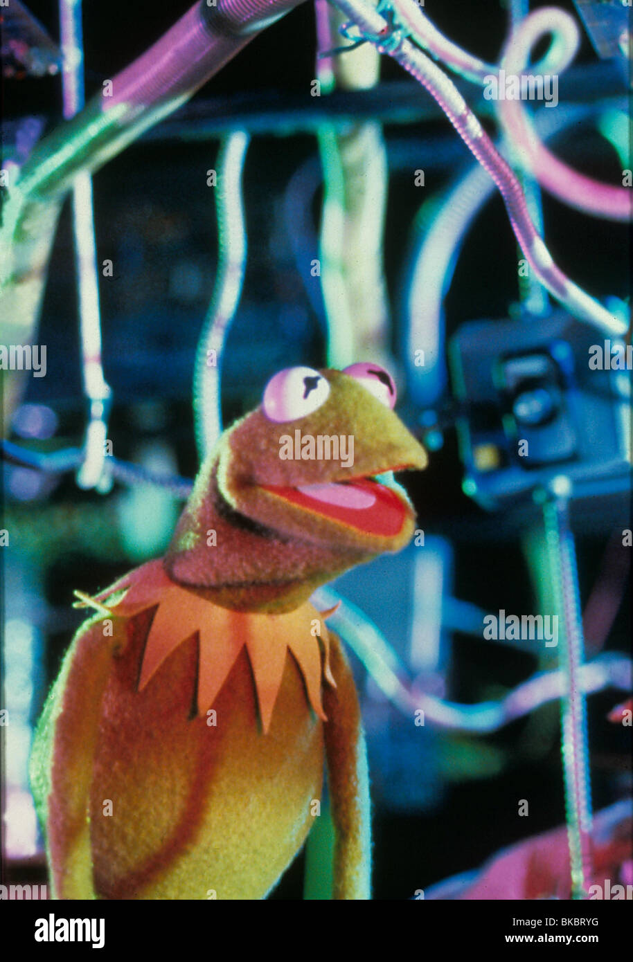 DIE MUPPETS (TV)-KERMIT DER FROSCH MPTS 001 CREDIT NBC Stockfoto