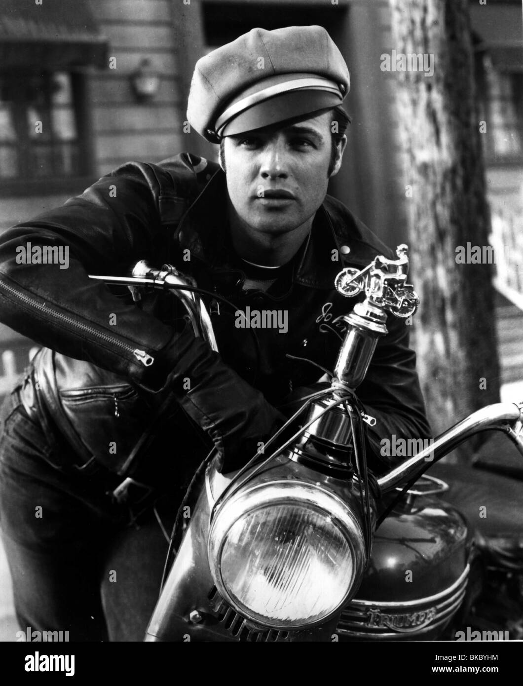 DIE WILDE EIN MARLON BRANDO WDON 033P Stockfoto