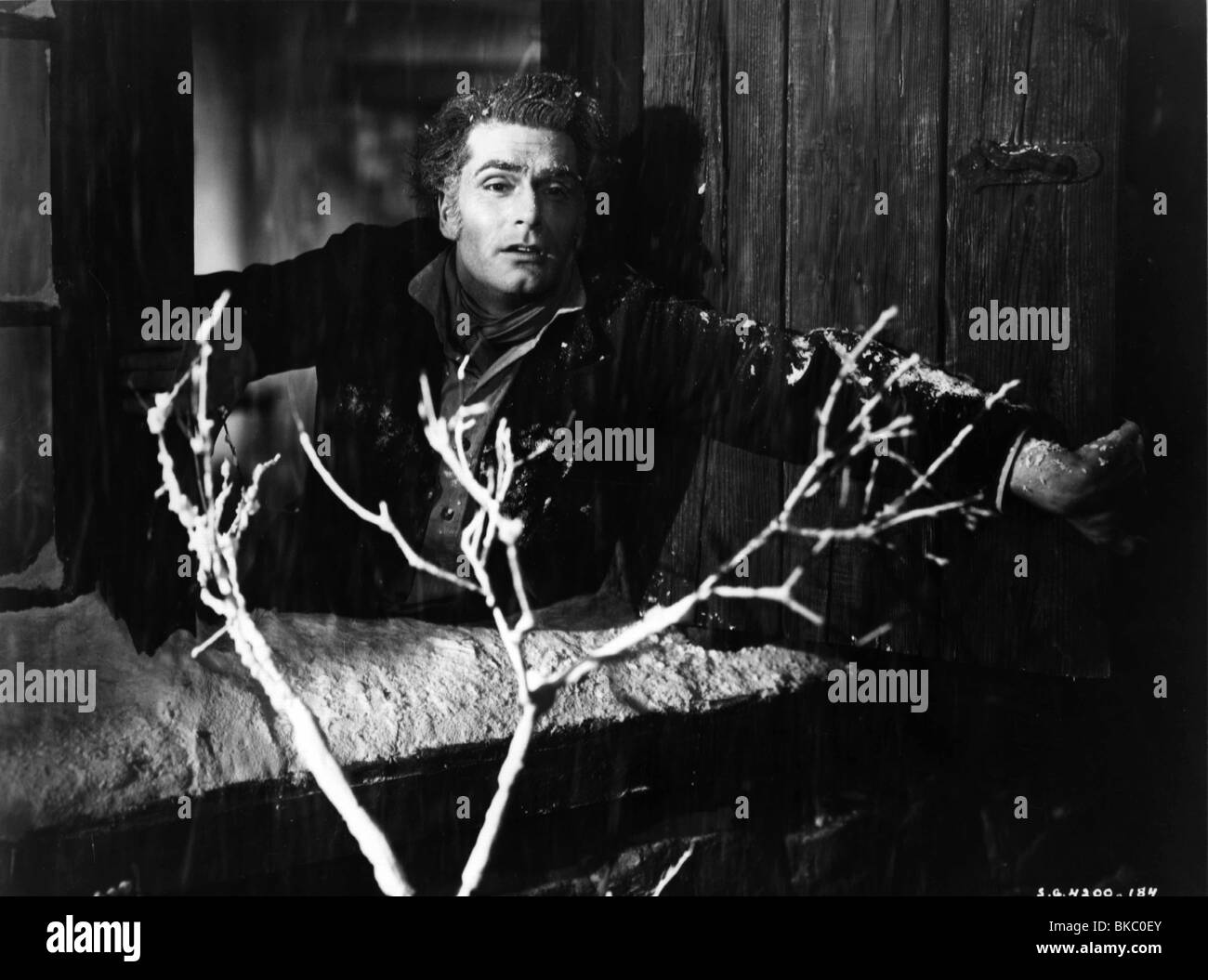 WUTHERING HEIGHTS (1939) LAURENCE OLIVIER WTH1 017P Stockfoto