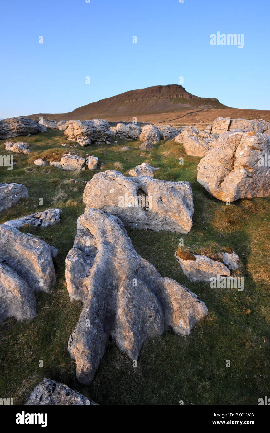 Eine Ansicht von Pen-y-Gent, ein Berg in den Yorkshire Dales und eines der drei Zinnen Stockfoto