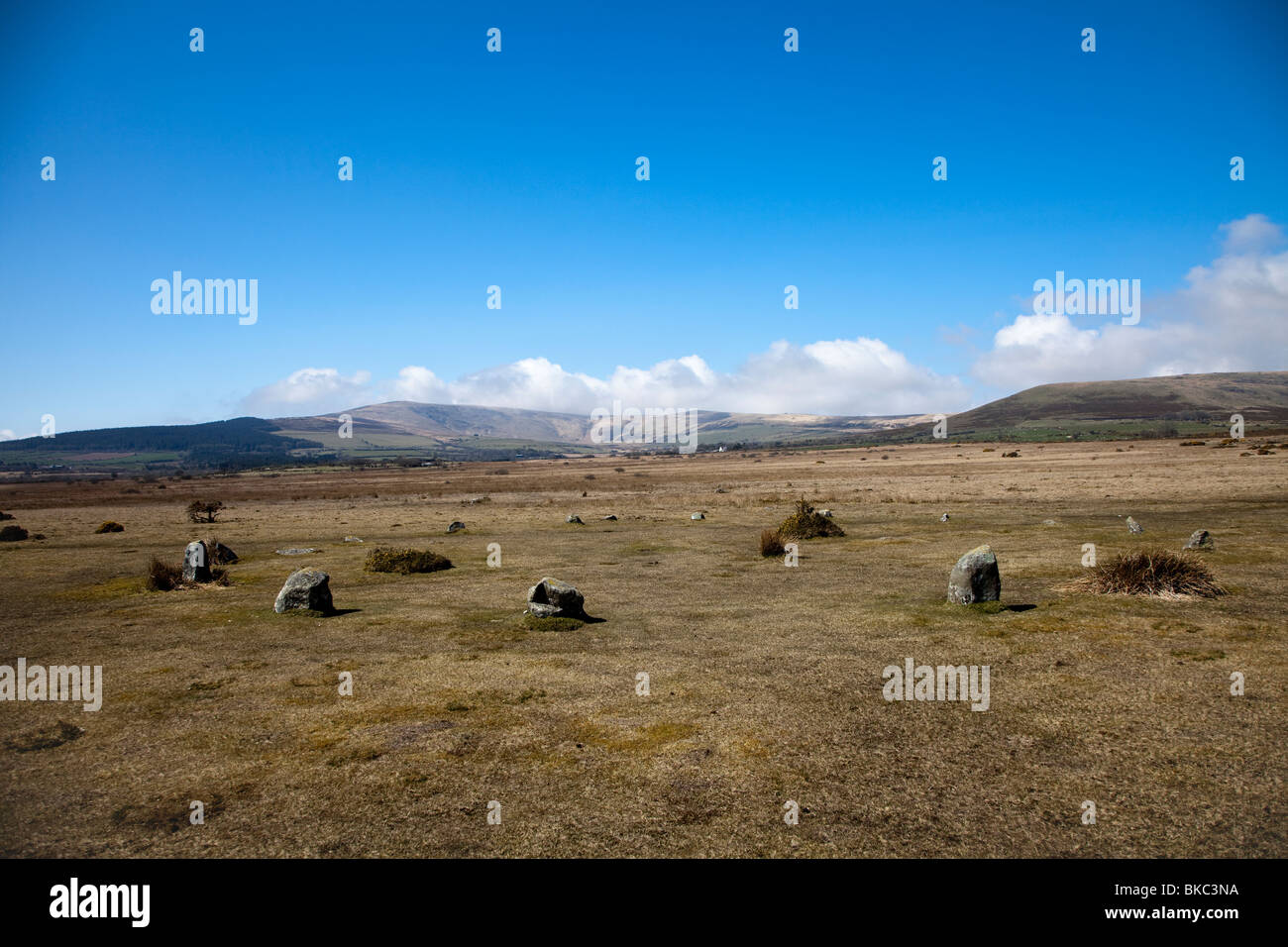 Steinkreis Gors Fawr Prescelli Hügel Wales UK Stockfoto