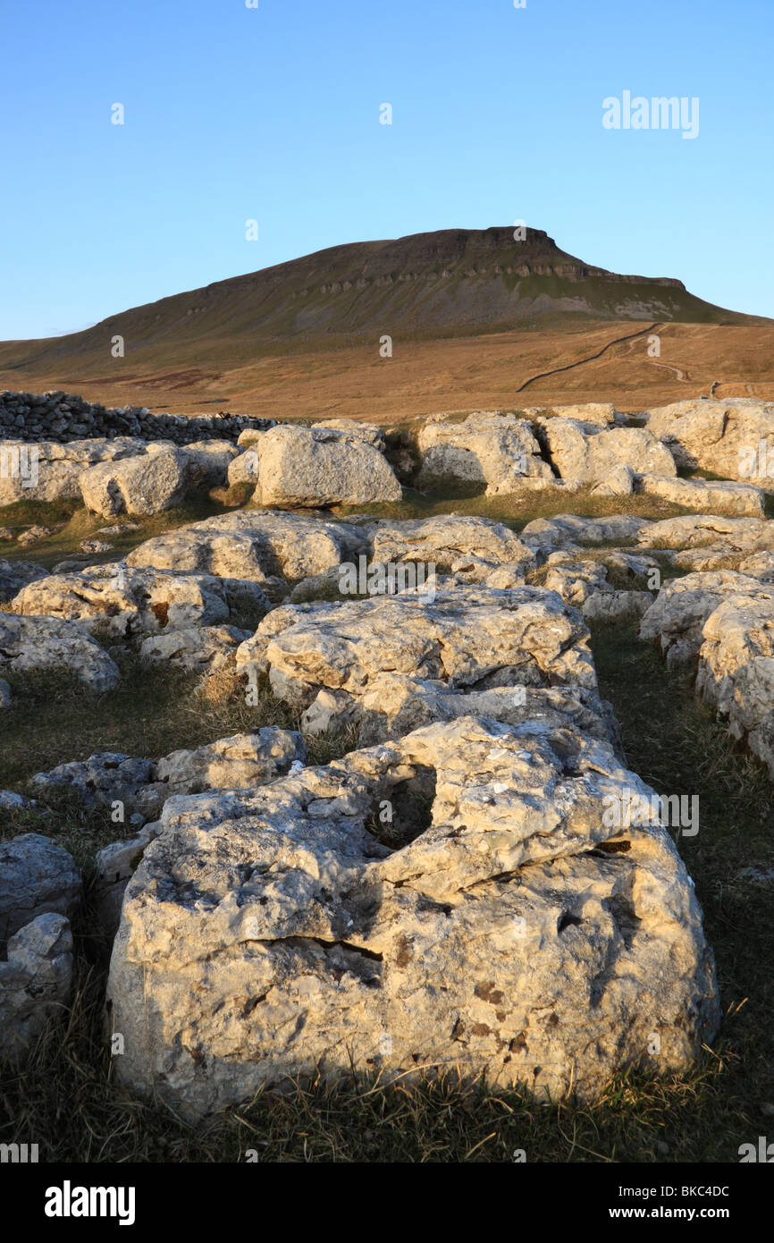 Eine Ansicht von Pen-y-Gent, ein Berg in den Yorkshire Dales und eines der drei Zinnen Stockfoto