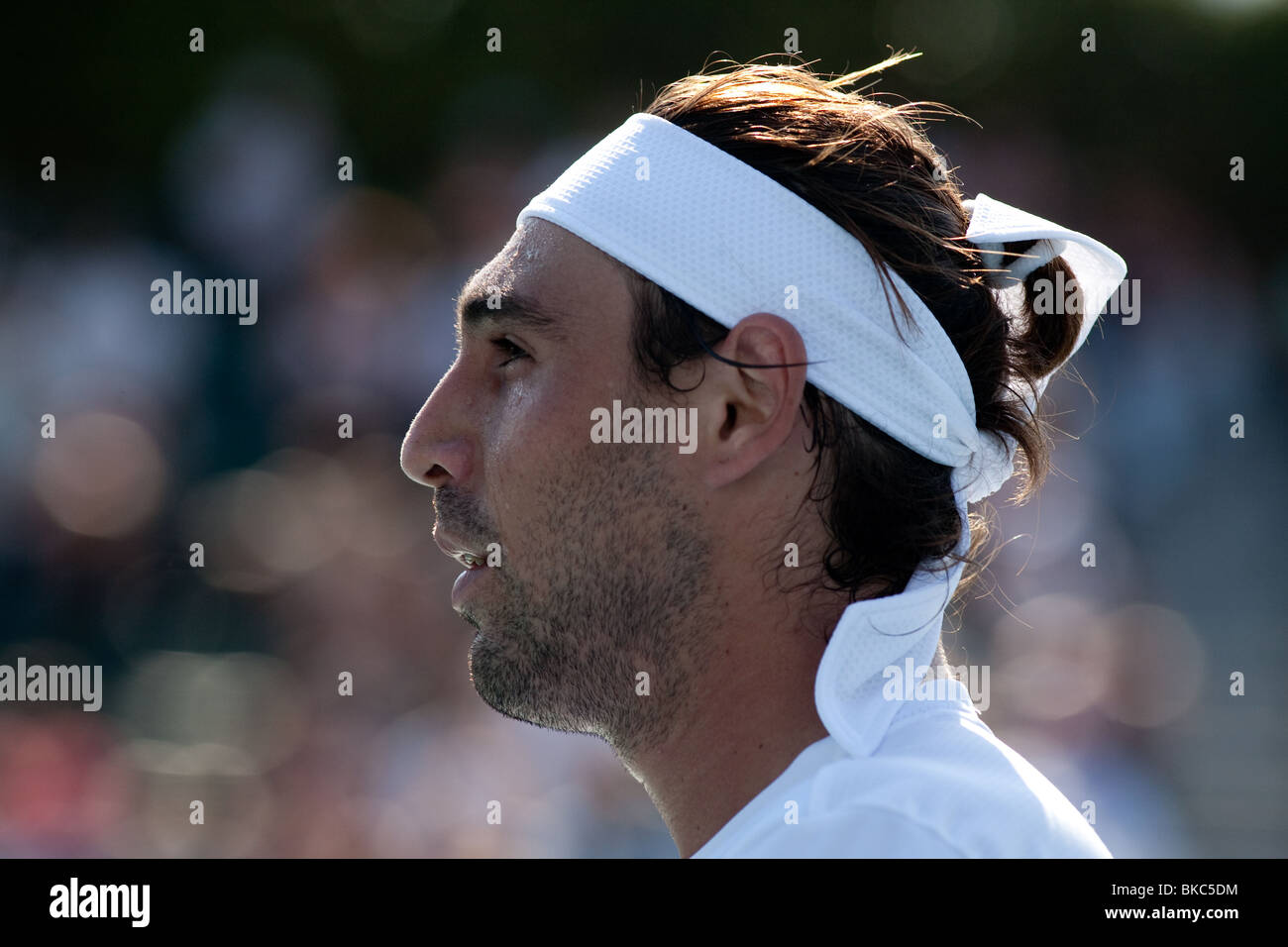 Zyprischer Tennisspieler Marcos Baghdatis (Profil) Stockfoto