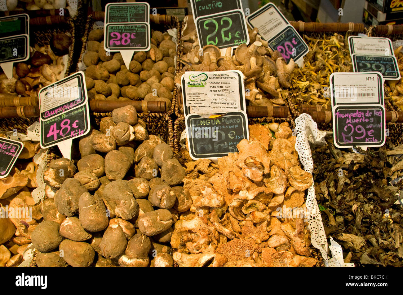 Madrid Spanien Spanisch Pilz Pilze Markt Stockfoto