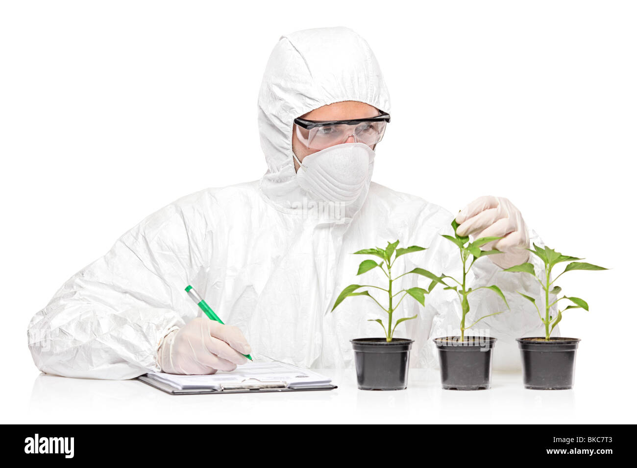 Ein Mann in uniform Prüfung einer Pfefferpflanze und Notizen aufschreiben Stockfoto