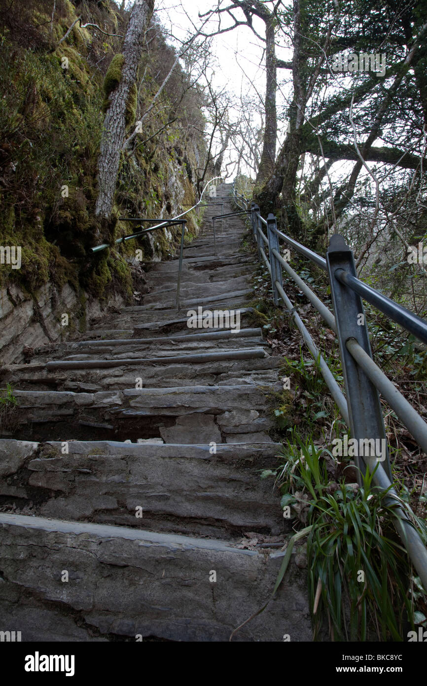 Rückblick der steilen Schiefer Treppe aus der Teufelsbrücke in Wales auf die kaskadierenden Wasserfällen Abgründe und Ansichten zugreifen Stockfoto