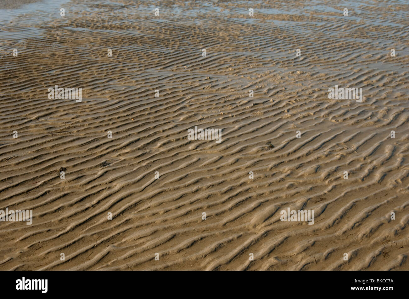 Welle Wellen am Wattenmeer. Stockfoto