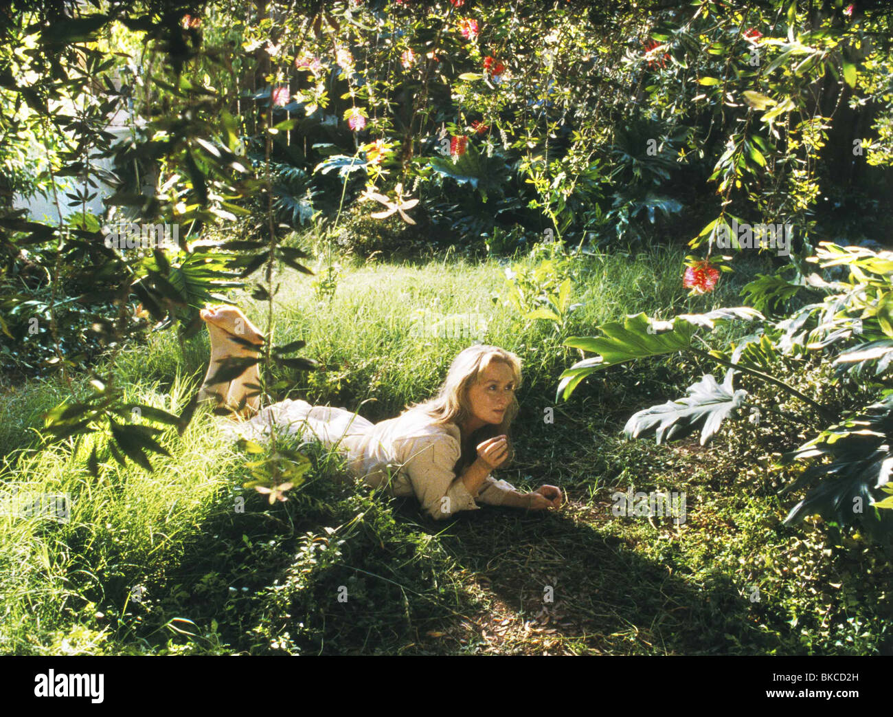 ANPASSUNG-2002 MERYL STREEP Stockfoto