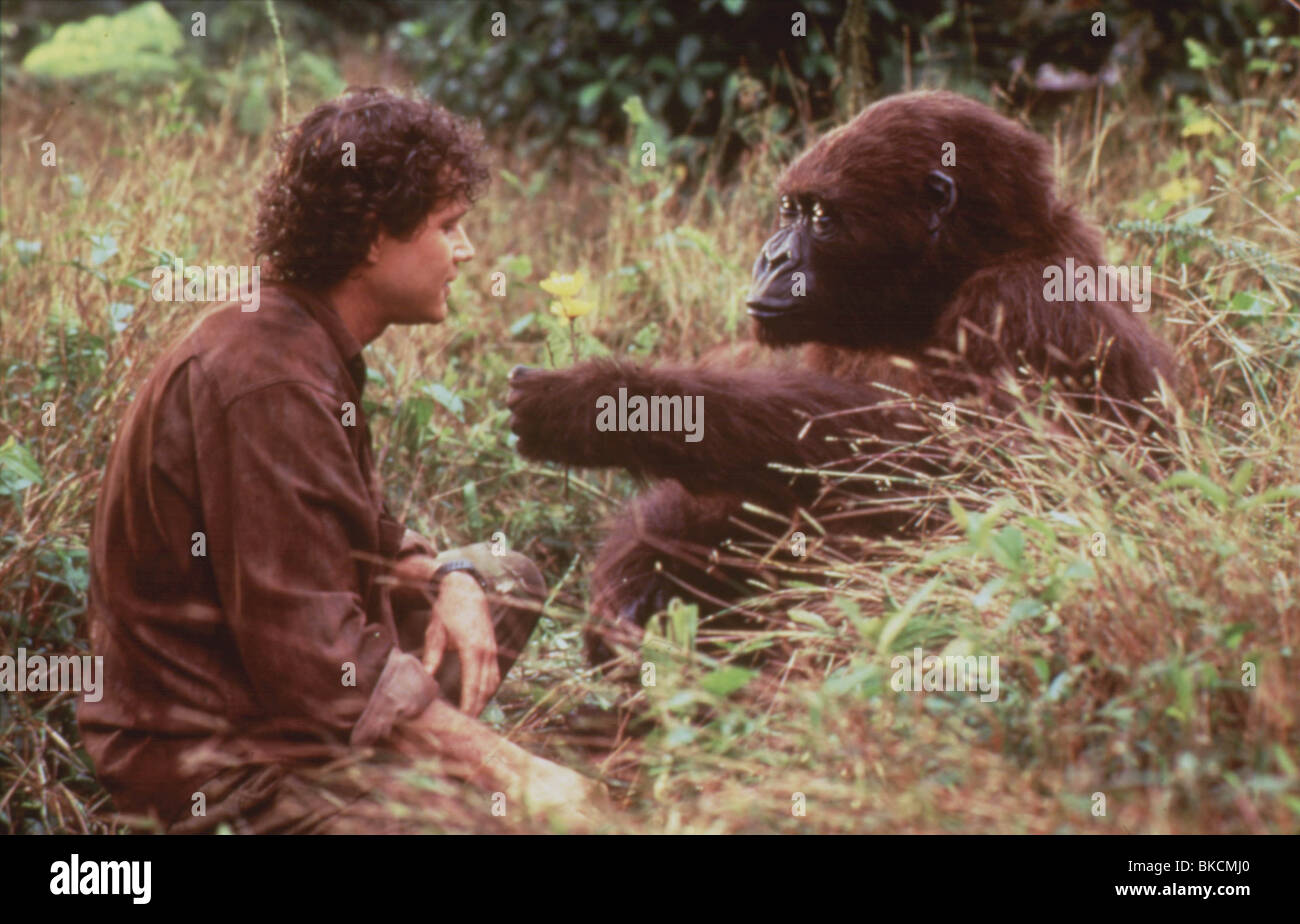 KONGO-1995 DYLAN WALSH Stockfoto