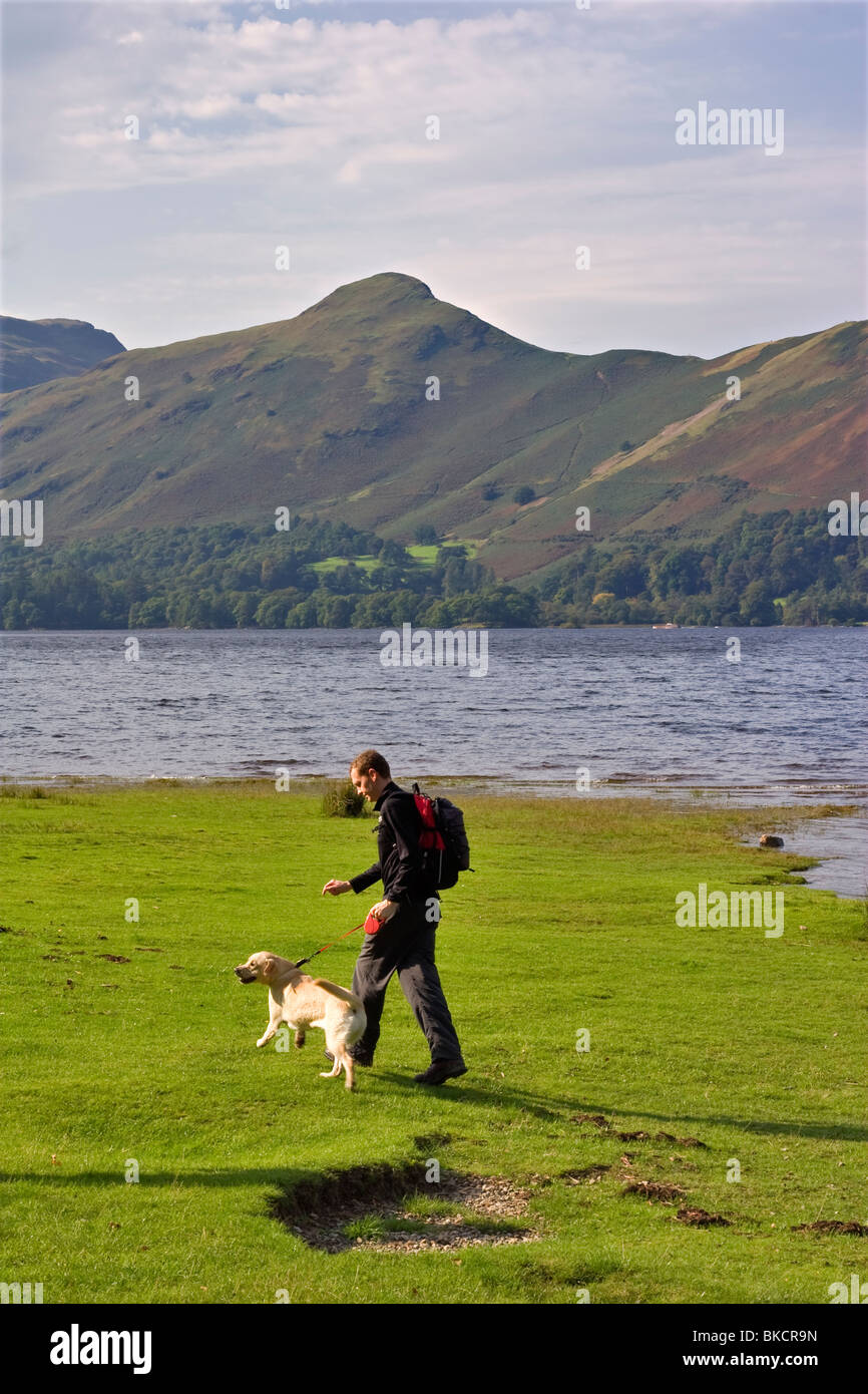 Spaziergang mit dem Hund am Ufer des Derwentwater im Lake District, Cumbria Stockfoto