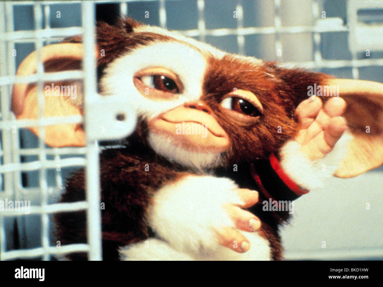 GREMLINS – KLEINE MONSTER-1984 Stockfoto