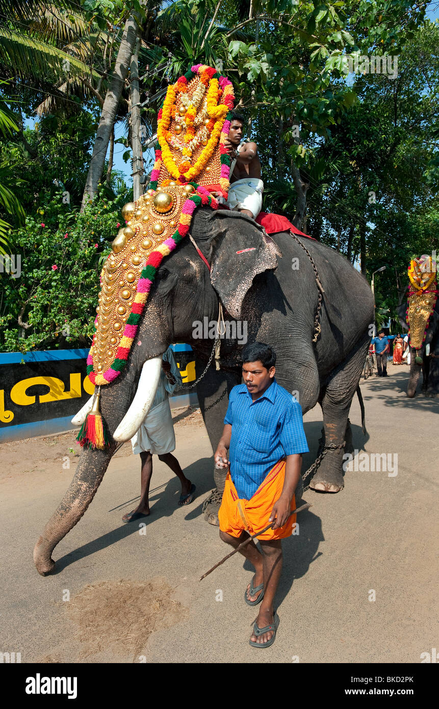Elefant Hindu Festivals, Kerala, Indien Stockfoto