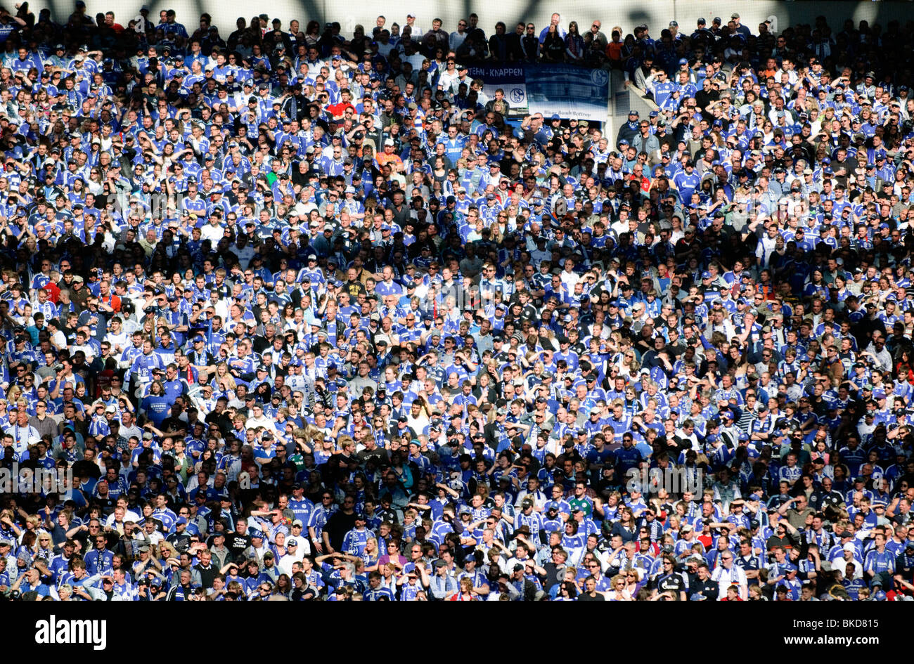 Fußball-Fans drängen sich die Stände in der Schalke Arena, der Heimat des deutschen Fußballvereins FC Schalke 04 Stockfoto