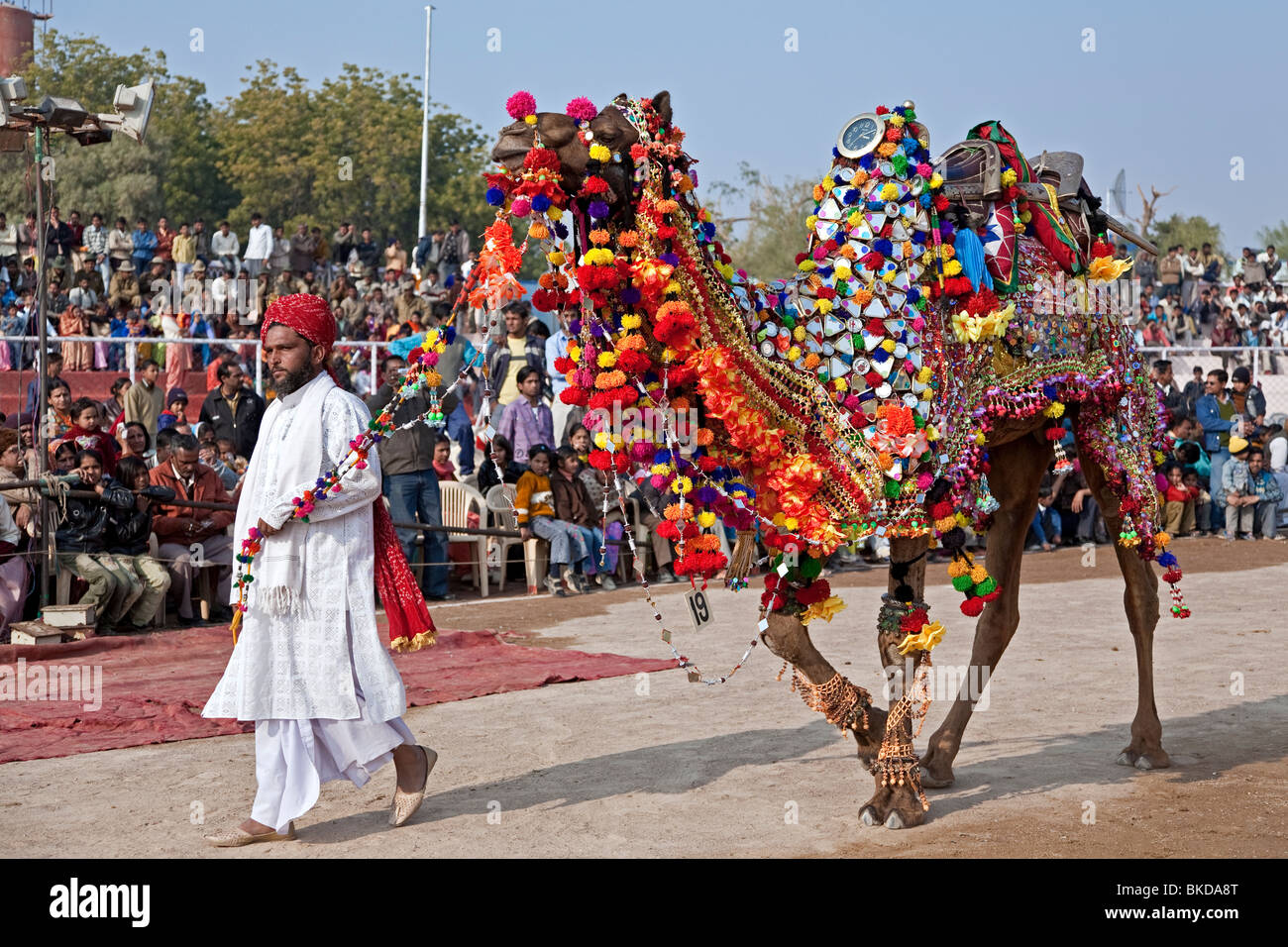 Kamel Dekoration Wettbewerb. Bikaner Camel Festival. Rajasthan. Indien Stockfoto