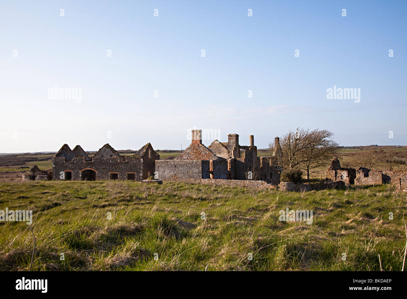 Verfallenen Bauernhof Gebäude auf firing Range Pembrokeshire Küstenweg Wales UK Castlemartin Stockfoto