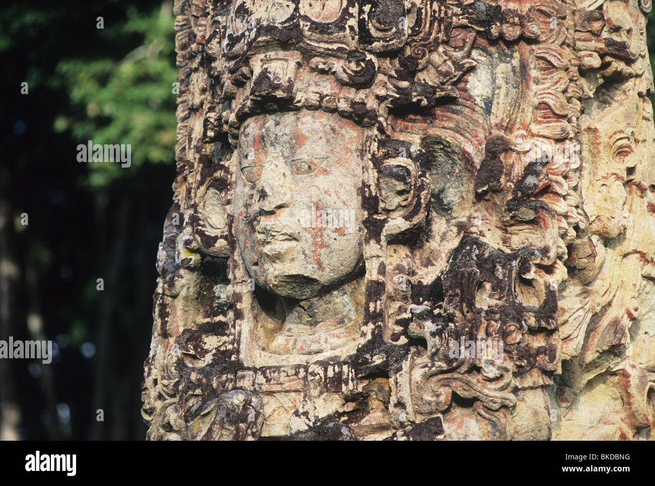 Honduras, Copan Maya-Ruinen, Detail der Stele H, Main Plaza, Gesicht von 18 Kaninchen, 13. Herrscher. Stockfoto