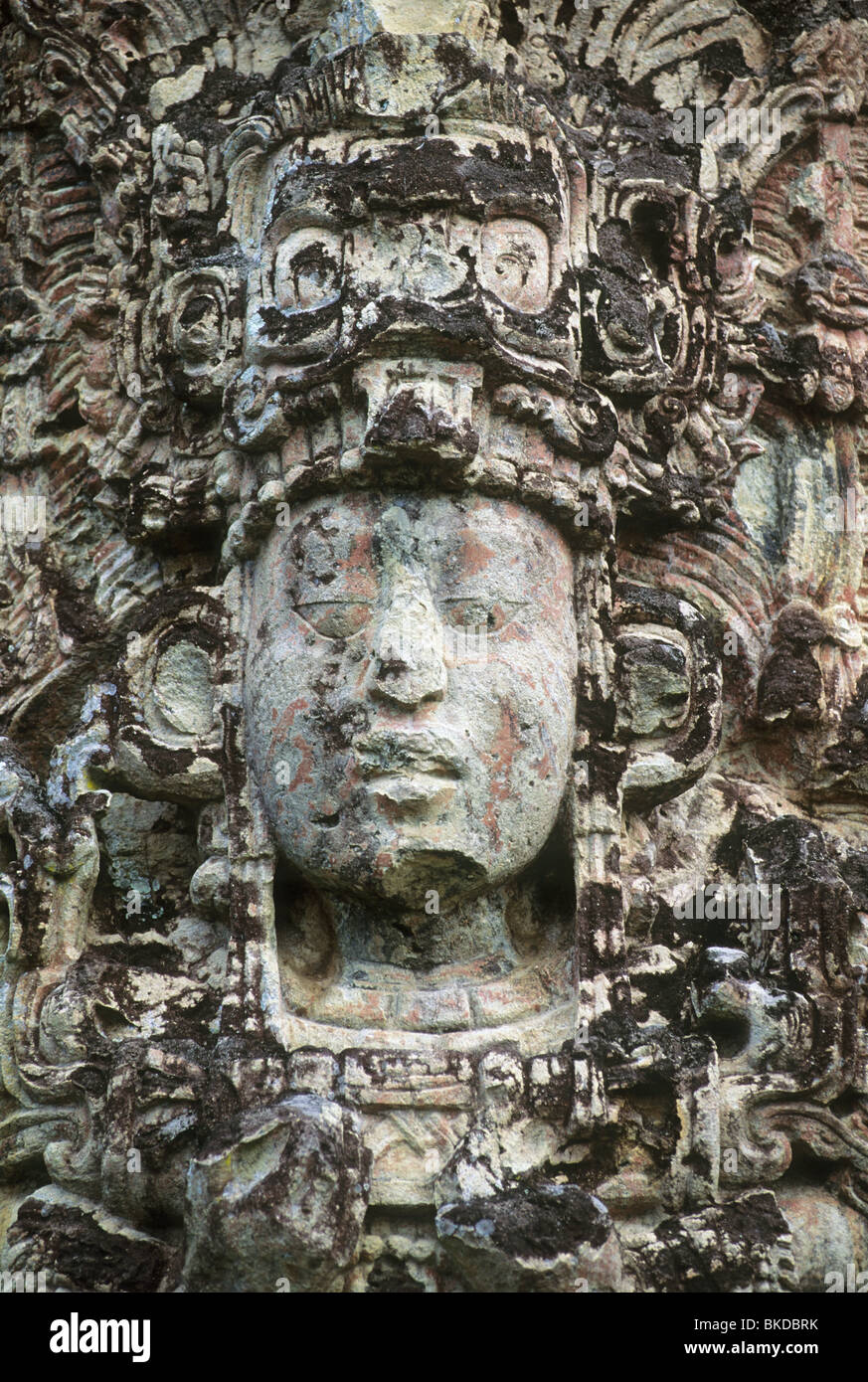 Honduras, Copan Maya-Ruinen, Stela H, Main Plaza, Gesicht von 18 Kaninchen, 13. Herrscher. Stockfoto