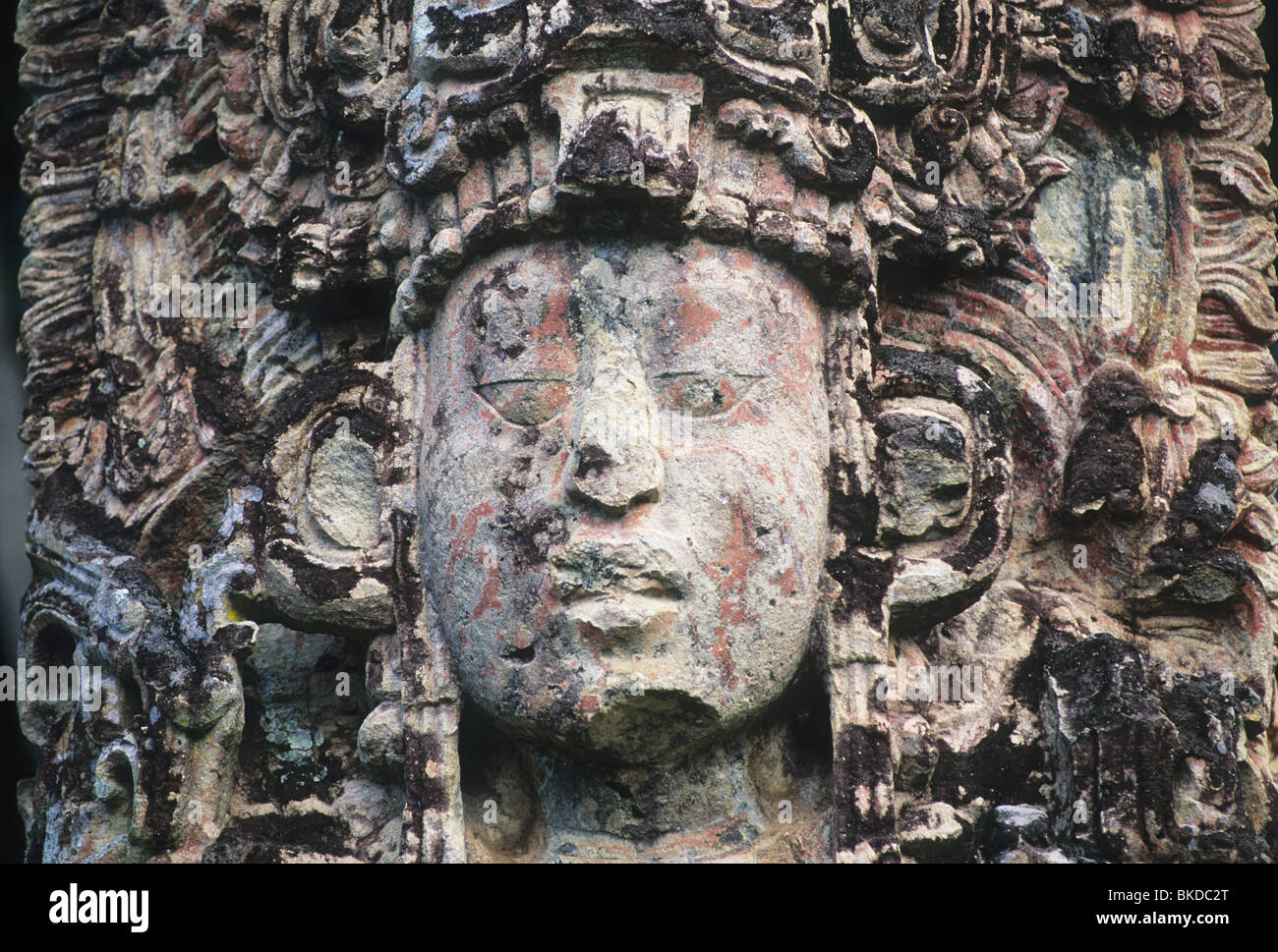 Honduras, Copan Maya-Ruinen, Stela H, Main Plaza, Gesicht von 18 Kaninchen, 13. Herrscher. Stockfoto