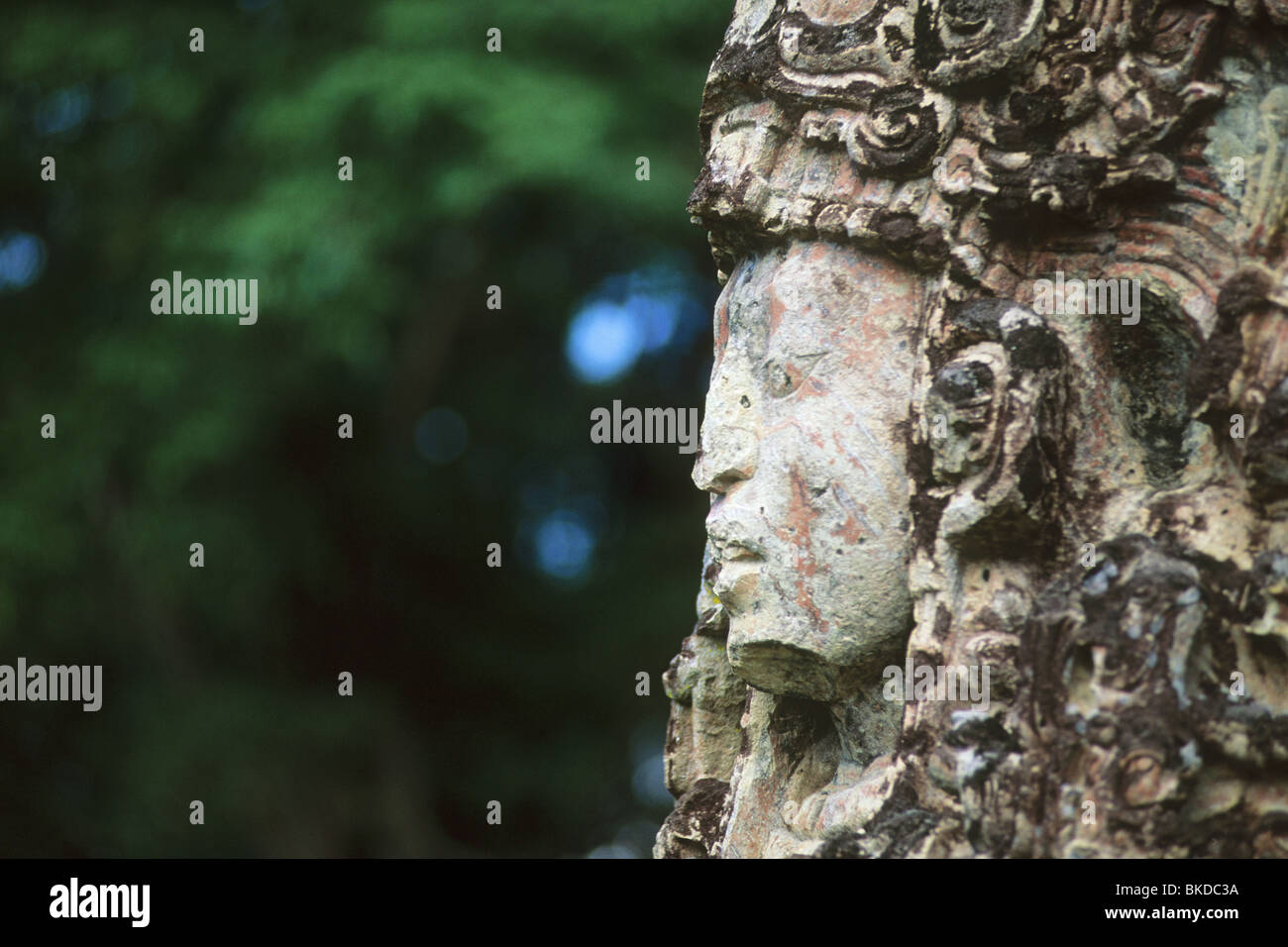 Honduras, Copan Maya-Ruinen, Stela H, Main Plaza, Gesicht von 18 Kaninchen, 13. Herrscher. Stockfoto