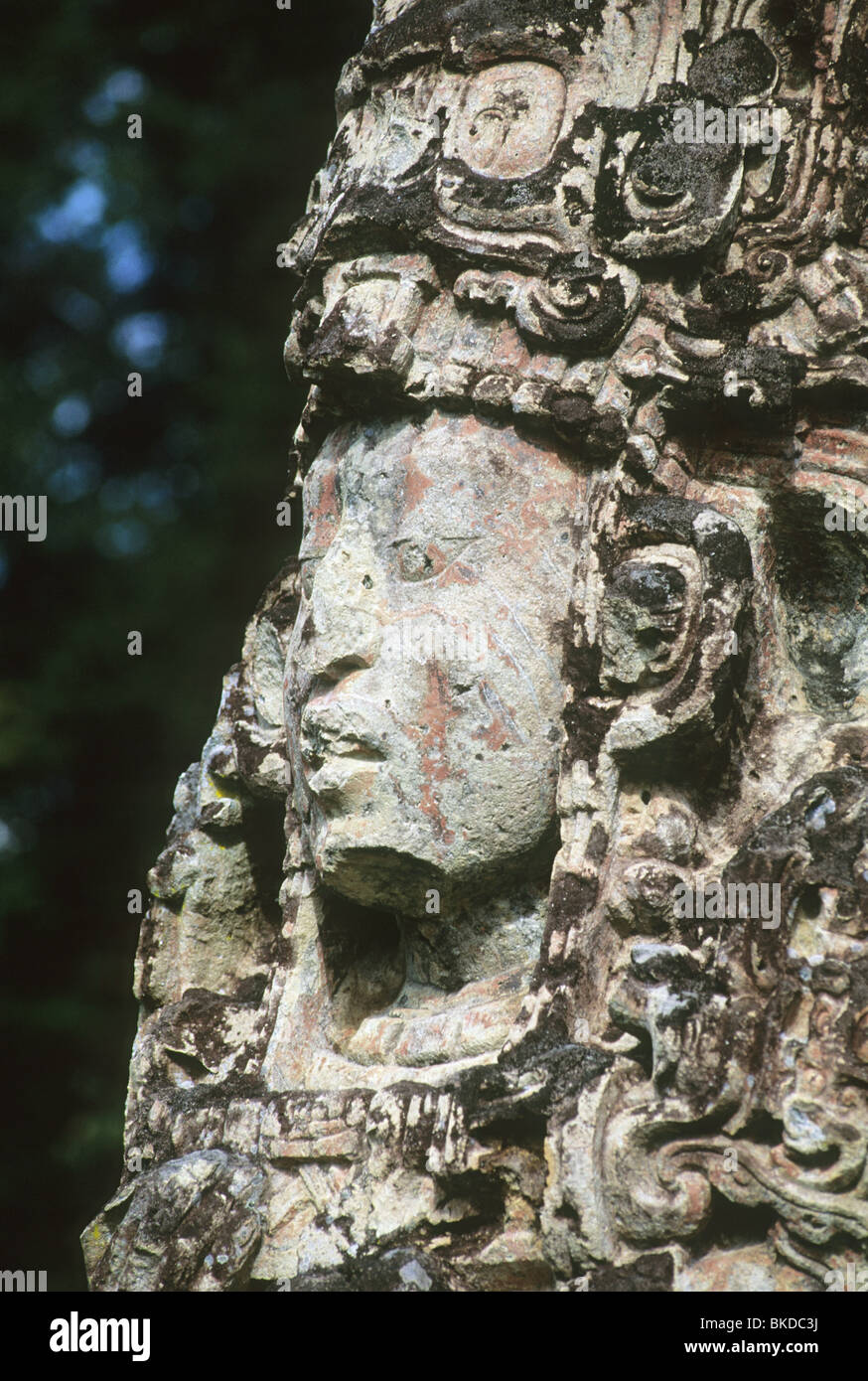 Honduras, Copan Maya-Ruinen, Detail der Stele H, Main Plaza, Gesicht von 18 Kaninchen, 13. Herrscher. Stockfoto
