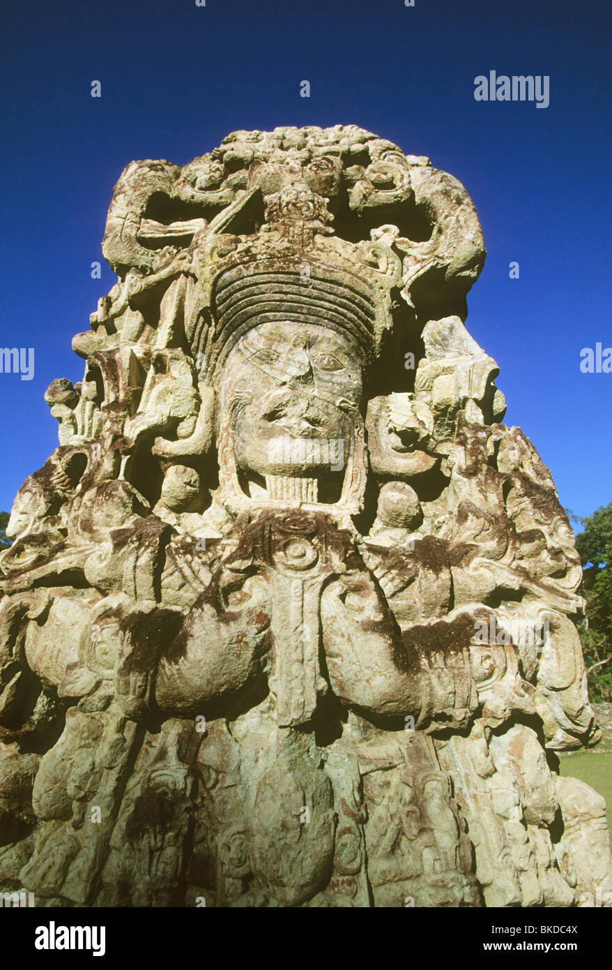 Honduras, Copan Maya-Ruinen, Stela B, Main Plaza, Gesicht von 18 Kaninchen, 13. Herrscher. Stockfoto