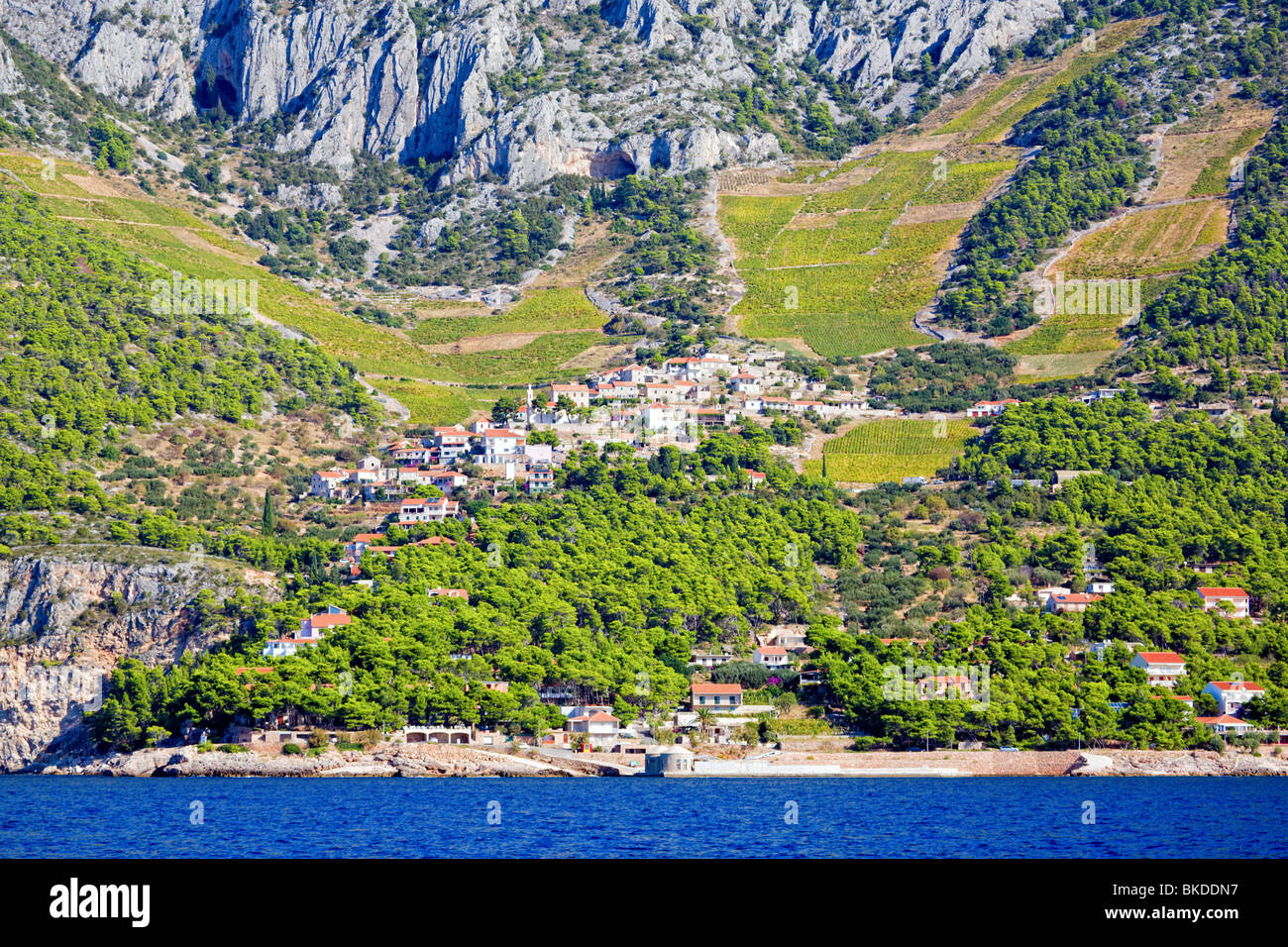 Kleinstadt in Kroatien liegt am Hang mit Blick auf die Adria Stockfoto