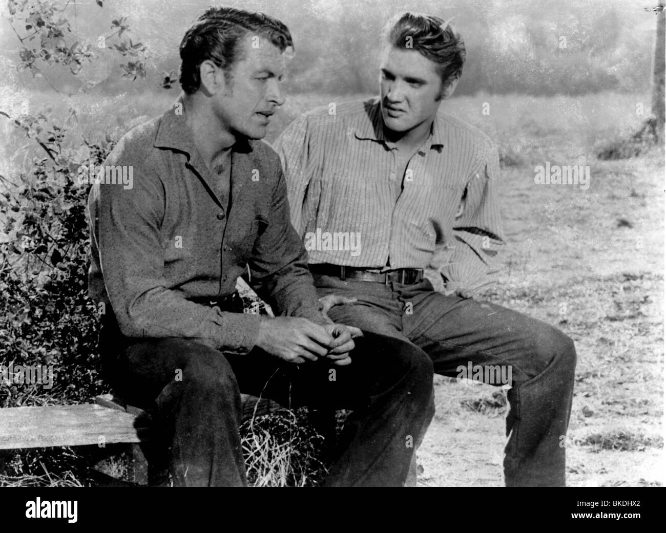 Elvis love me tender 1956 Fotos und Bildmaterial in hoher Auflösung