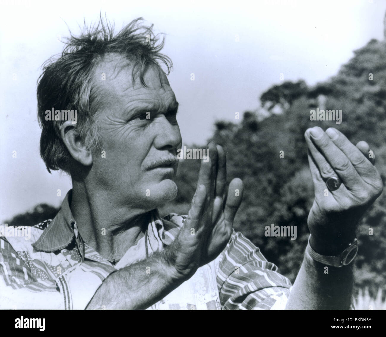 SAM PECKINPAH (DIR) PORTRÄT SMPC Stockfoto