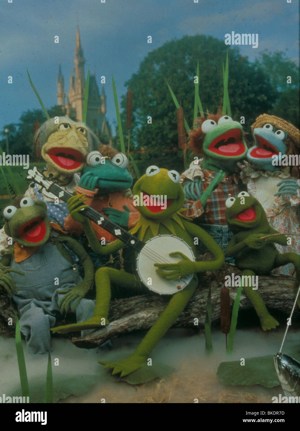 DIE MUPPETS IN WALT DISNEY WORLD (TV) KERMIT DER FROSCH, ROBIN FROSCH MUFV 001 Stockfoto