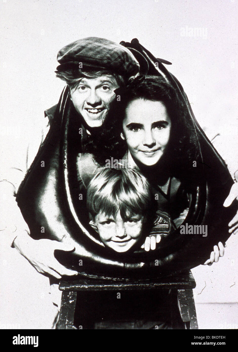 NATIONAL VELVET (1944) MICKEY ROONEY, ELIZABETH TAYLOR, JACKIE JENKINS NVLT 025 Stockfoto