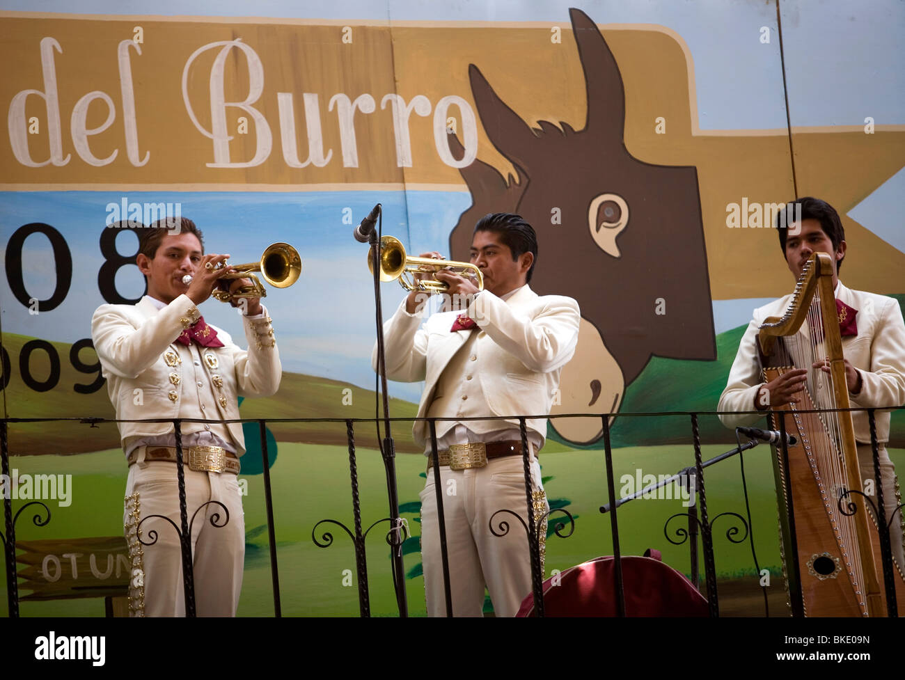 Mariachi Musiker spielen auf dem 48. jährliche Esel Festival in Otumba Dorf, Mexiko, 1. Mai 2008. Stockfoto