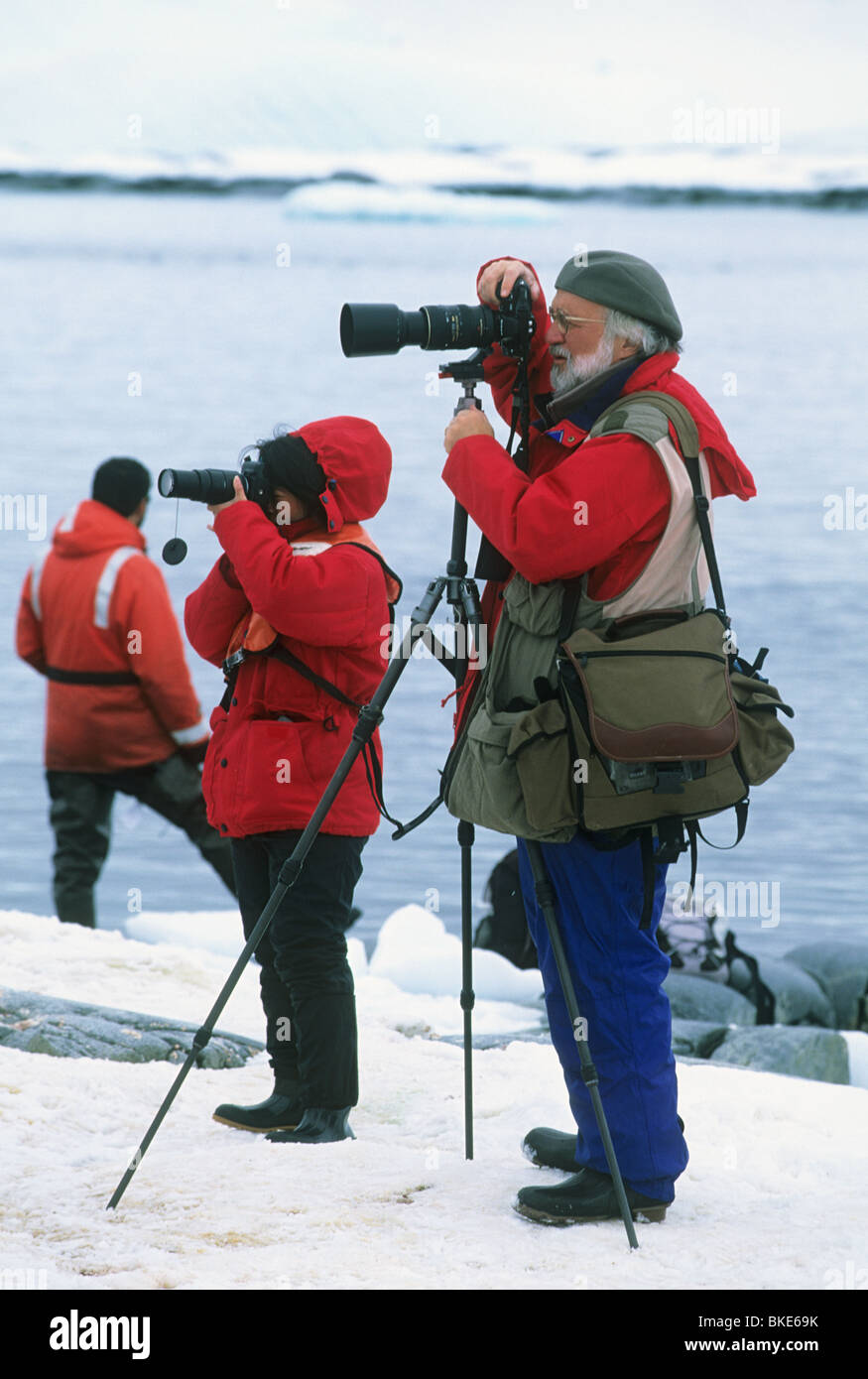 Antarktis, Fotografen unterwegs, Pinguine, antarktische Halbinsel schießen. Stockfoto