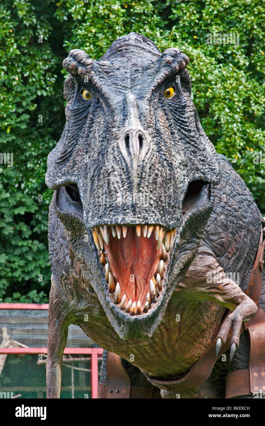 T-Rex Tyrannosaurus Rex Dinosaurier Stockfoto