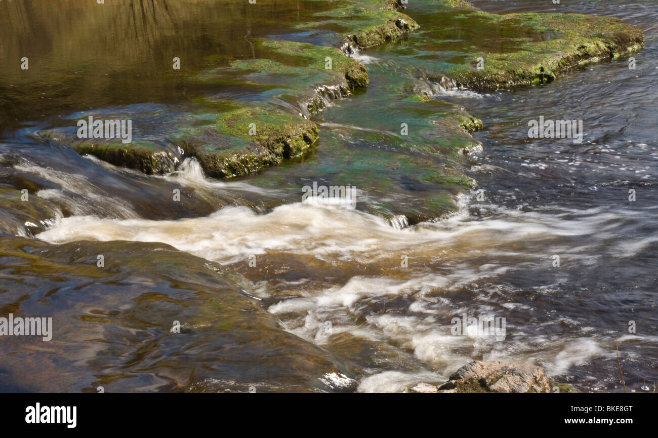 Die Fluß Senke in Wainwath verliebt sich in oberen Swaledale Stockfoto