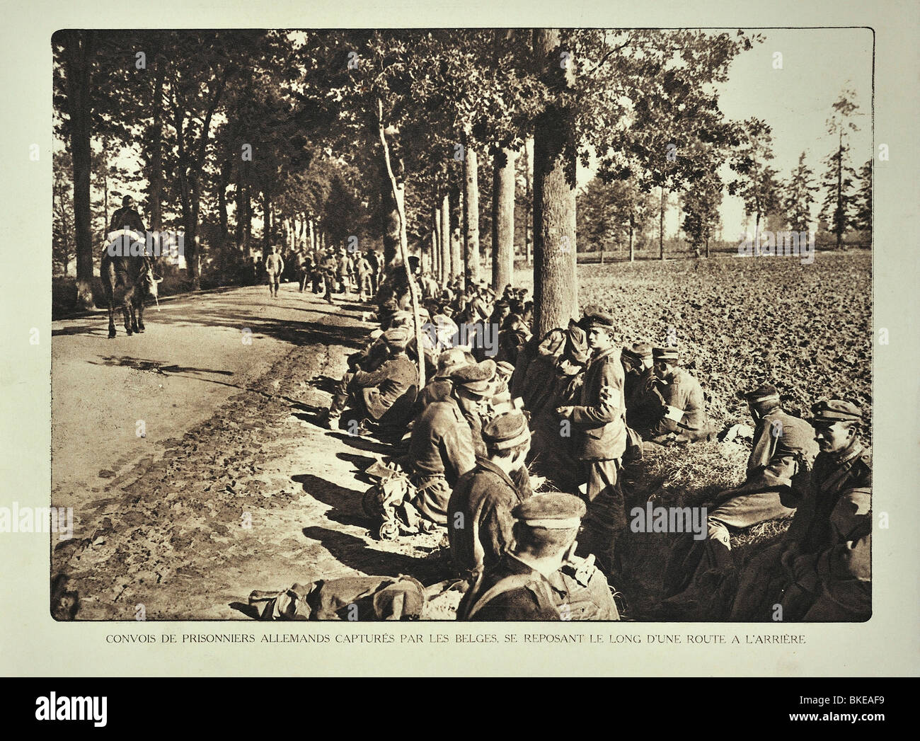 WW1-Konvoi mit deutschen Kriegsgefangenen ruht an Straße in West-Flandern während des ersten Weltkriegs ein, Belgien Stockfoto