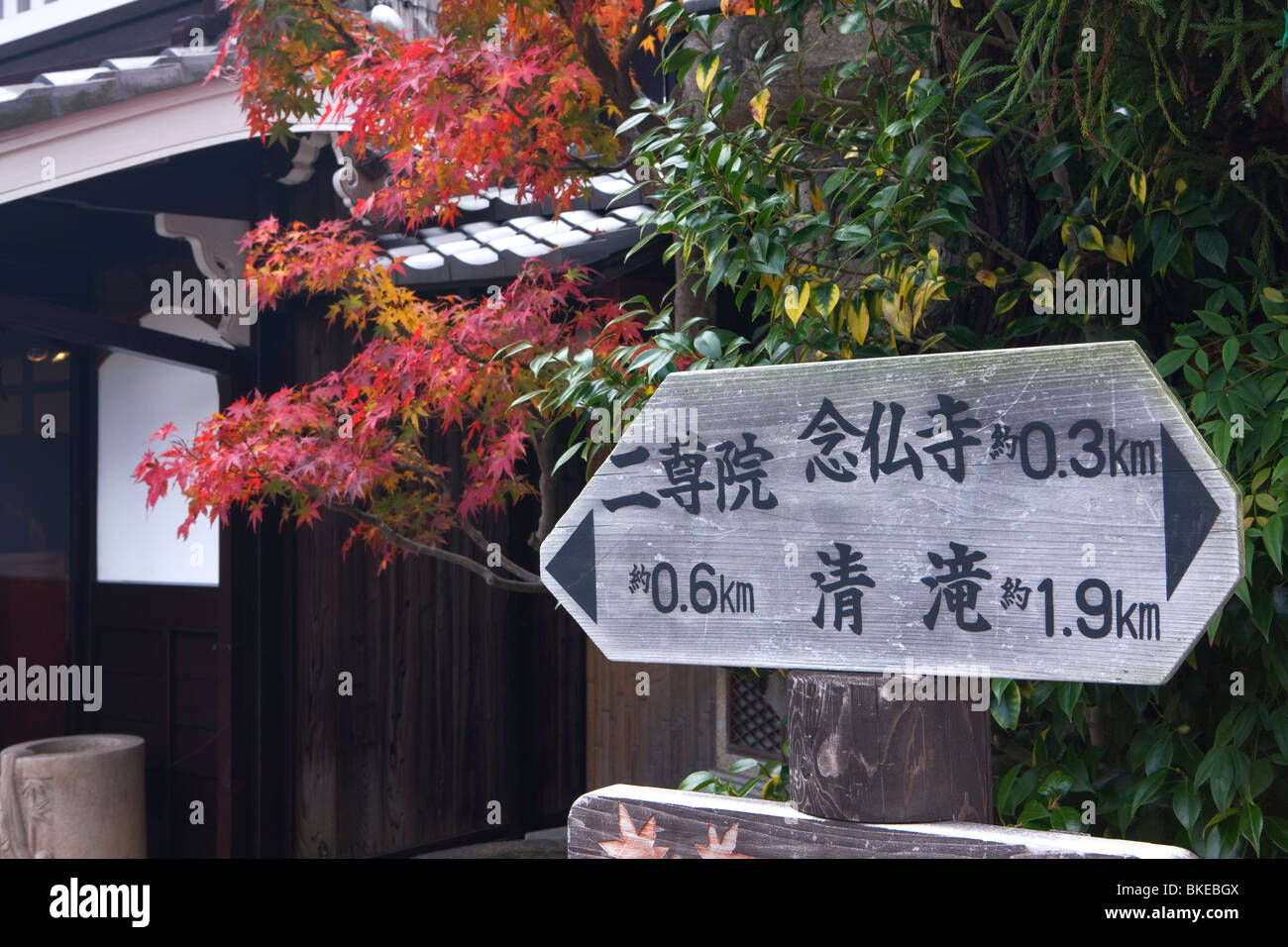 Arashiyama Herbst Tönung Stockfoto