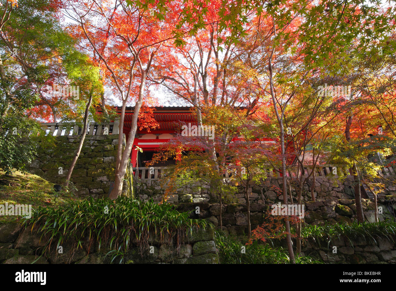 Kiyomizu-Dera Tempel der Herbst Tönung Stockfoto