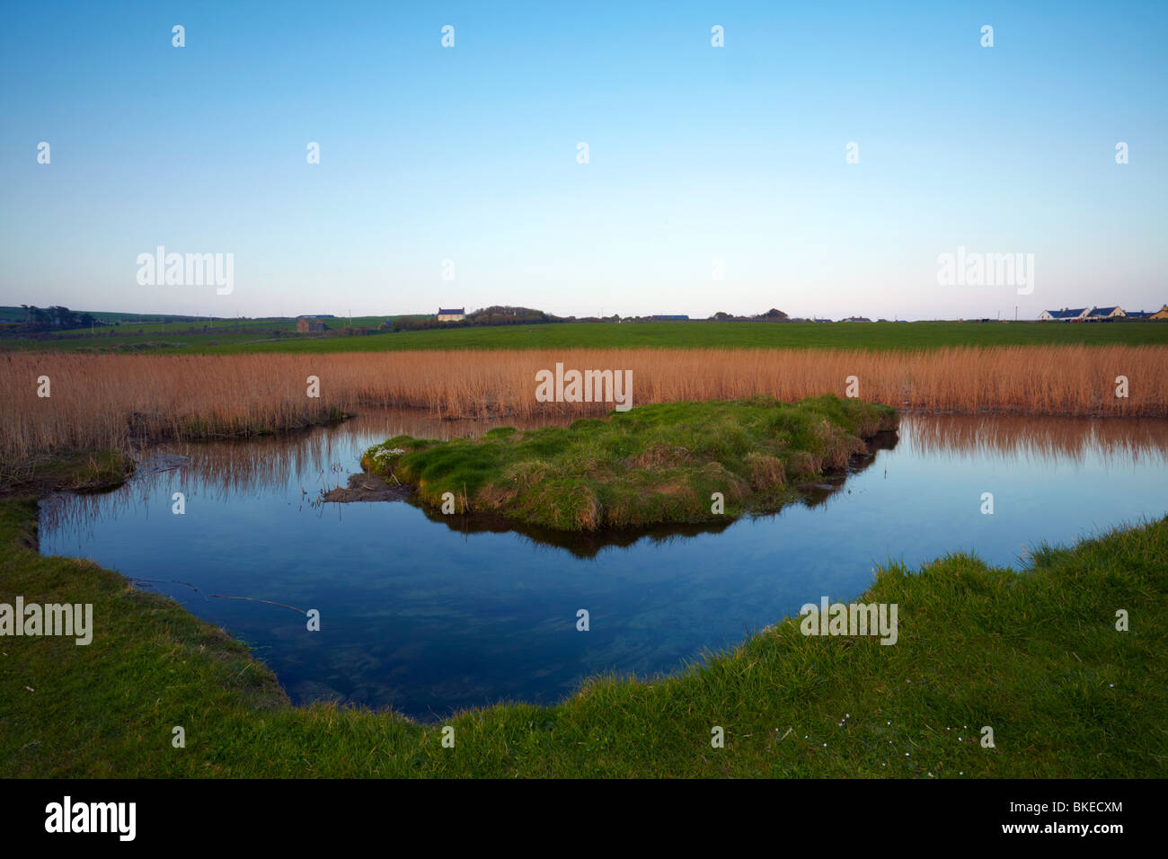 Abendlicht beleuchtet die West Cork-Landschaft in der Nähe von Garretstown Strand, Co.Cork, Irland Stockfoto